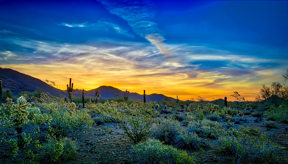 Arizona desert at sunrise