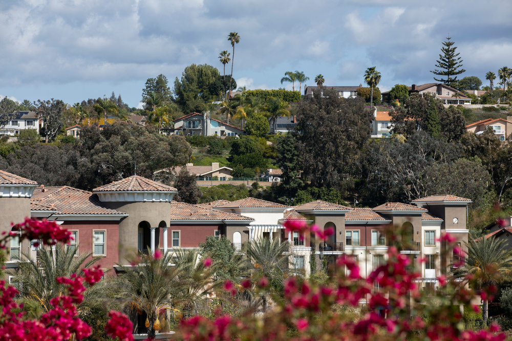 neighborhoods during daytime with flowers in foreground